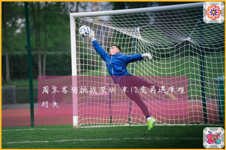 周末客场挑战深圳 津门虎再遇艰难对决